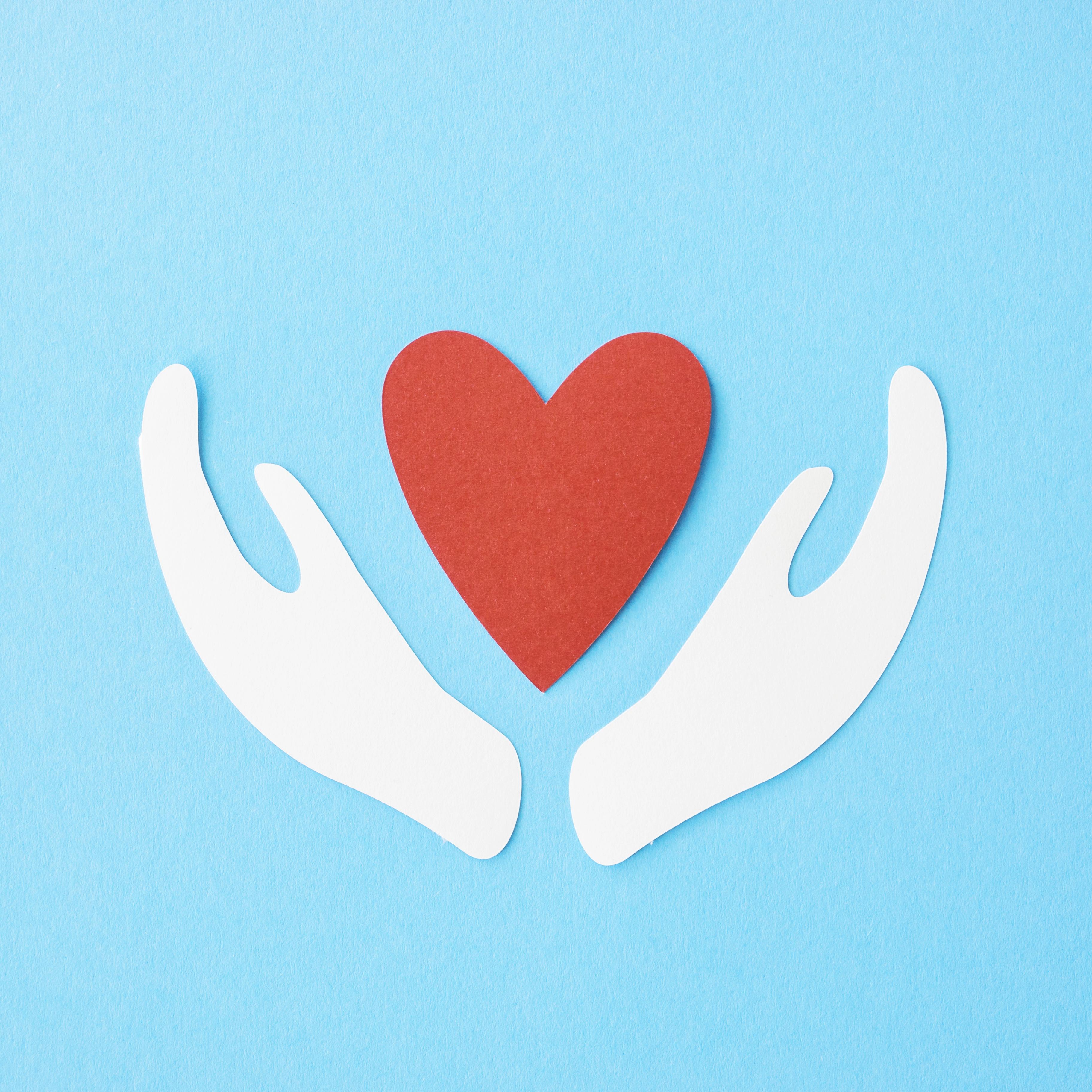 Oferta specjalna dla Hospicjum Puck — Muszelka Puck